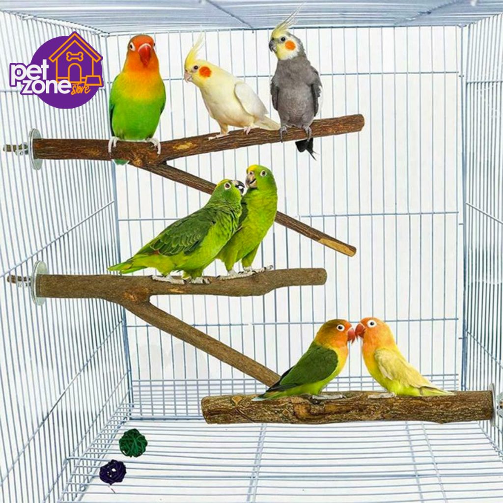 Bird Supplies Pet Zone Store   5 Pcs Pet Parrot Bird Standing Stick Parrot Raw Wood Fork Stand Rack Toys Perches Bite 6 1024x1024 