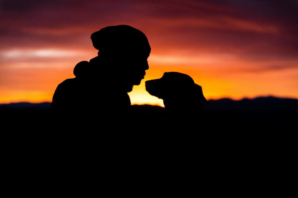 Top 5 Ways To Show Your Pet Love This Valentine’s Day