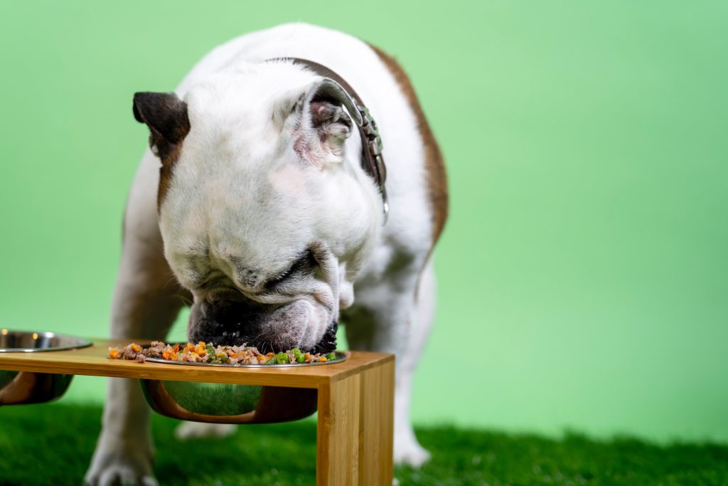 Candies pet supply and grooming