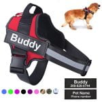 Personalized Dog Harness, No Pull Reflective and Breathable Pet Harness Vest, Outdoor Walks, Training Accessories, Customizable Pet Name